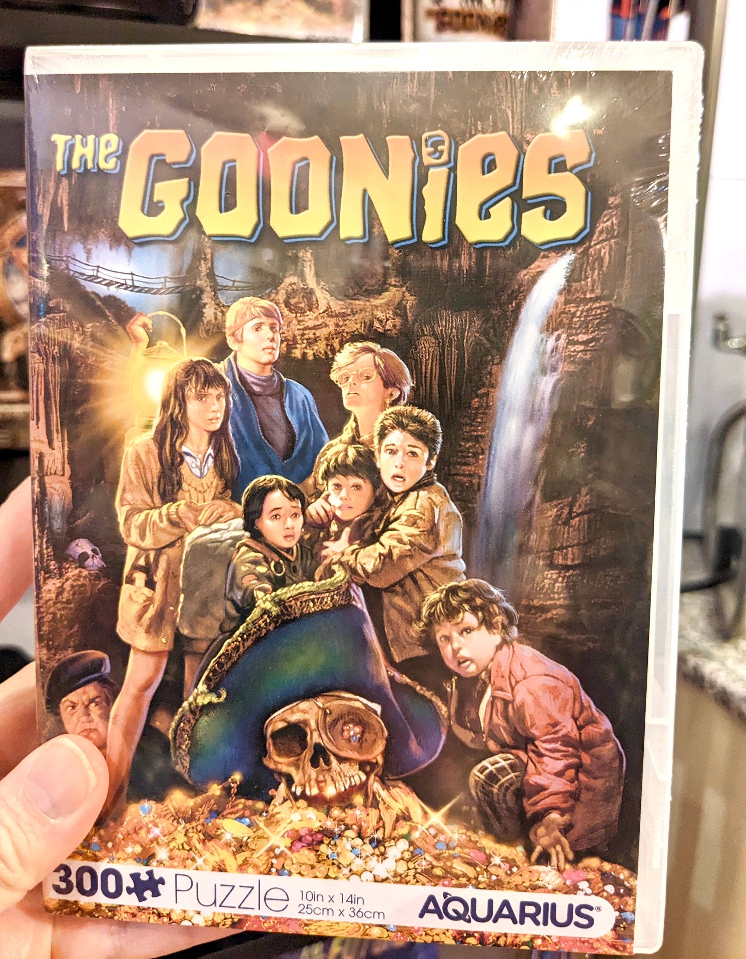 NMR The Goonies Movie Poster 300 Piece VHS Puzzle | Georgie Lou's Retro ...